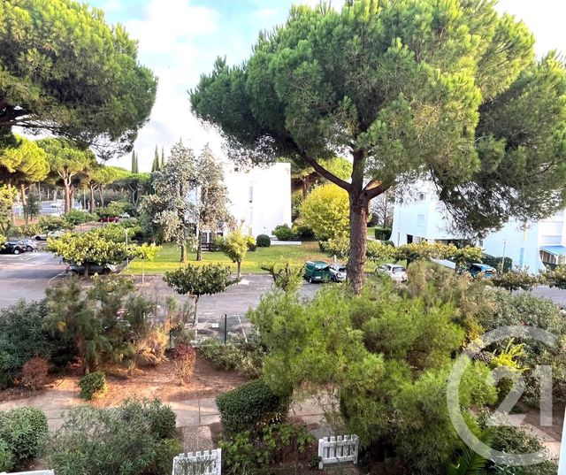 Appartement Studio Cabine à louer - 1 pièce - 24,15 m2 - La Grande Motte - 34 - LANGUEDOC-ROUSSILLON