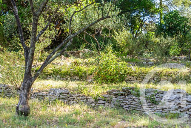 Maison &agrave; vendre - 9 pi&egrave;ces - 249,74 m2 - Nimes - 30 - LANGUEDOC-ROUSSILLON