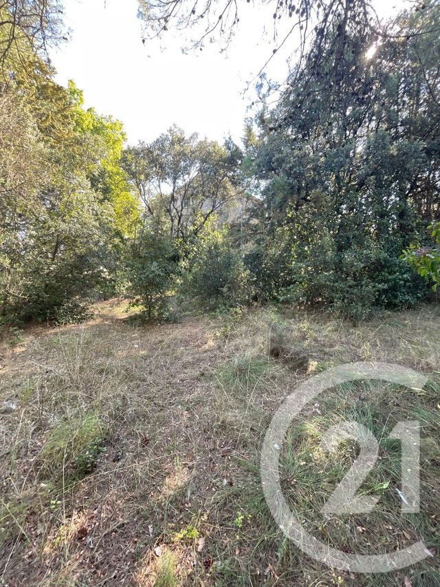 Maison &agrave; vendre - 6 pi&egrave;ces - 255,79 m2 - St Drezery - 34 - LANGUEDOC-ROUSSILLON