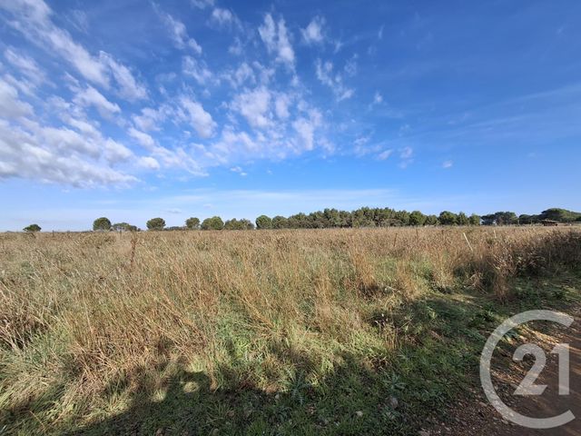 Terrain &agrave; vendre - 57542 m2 - Vauvert - 30 - LANGUEDOC-ROUSSILLON