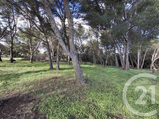 Terrain &agrave; vendre - 57542 m2 - Vauvert - 30 - LANGUEDOC-ROUSSILLON